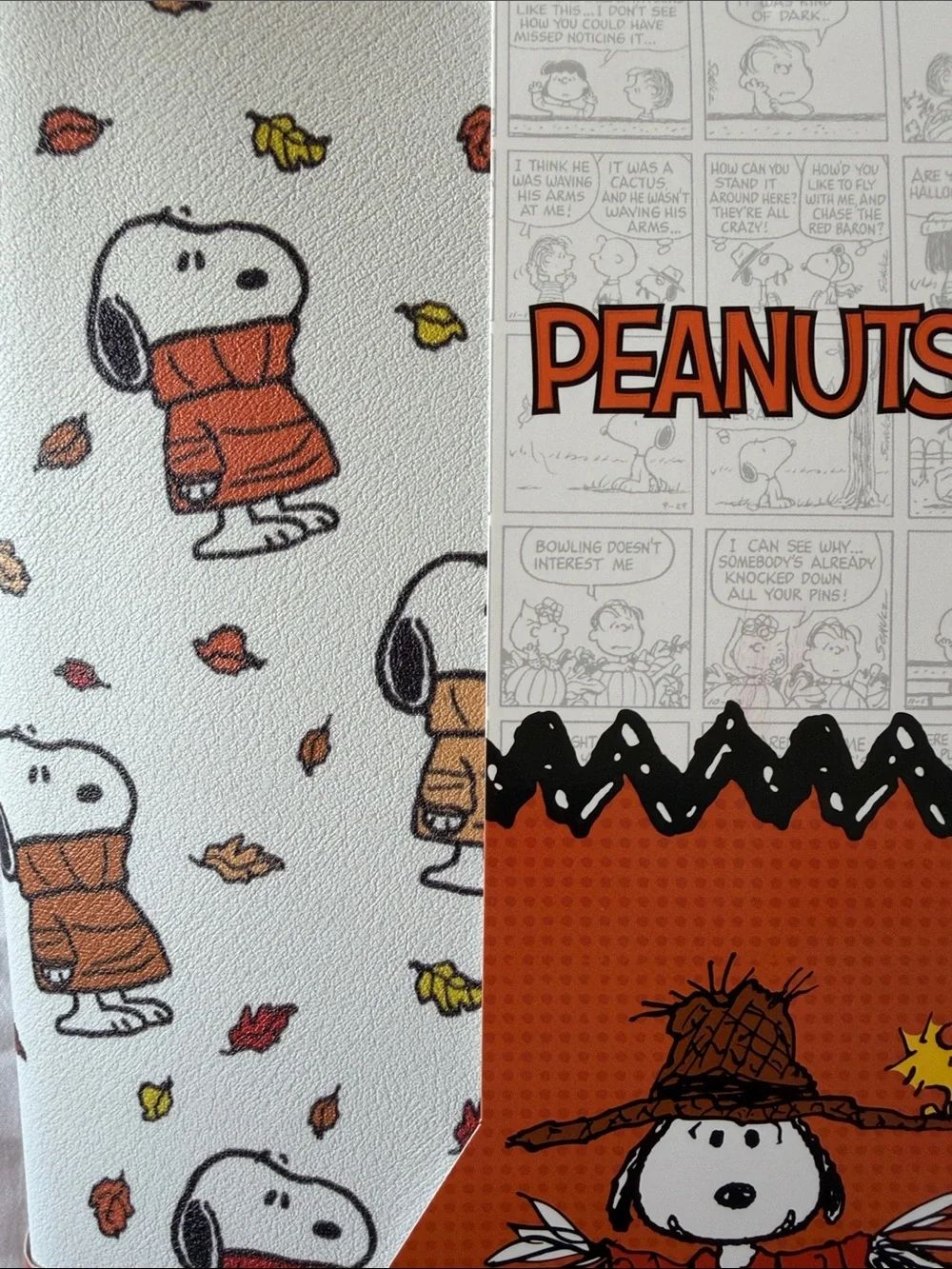 Peanuts themed dish